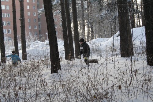 IMG_4546_r
